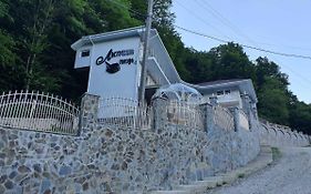 Ластівчине гніздо